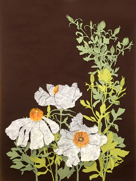 Matilija Poppy