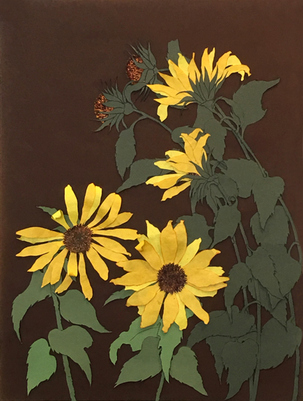 Common Sunflower 