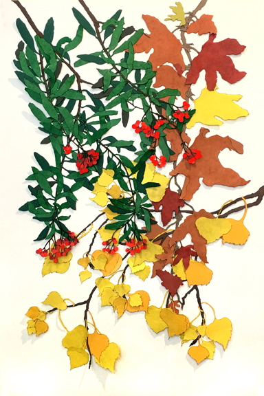 Toyon 