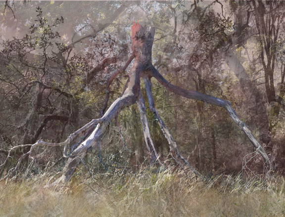 Scorched-1b