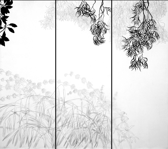 Eucalyptus-Salvia wall image