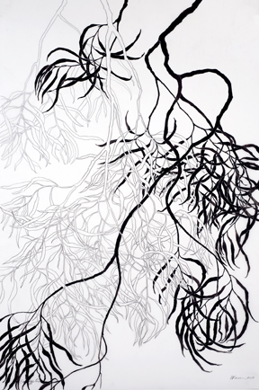 Eucalyptus #2