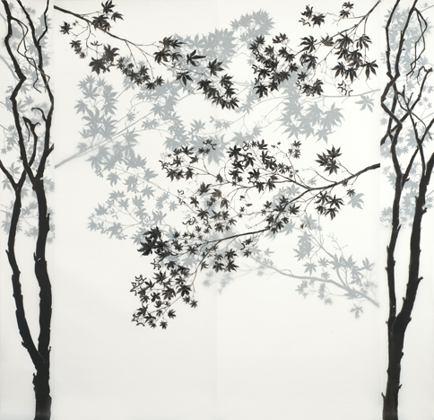 Maple detail