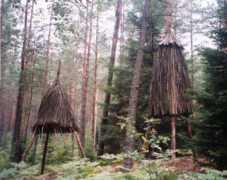 Structures for a Lithuanian Forest