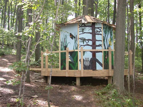 Woodland Nostalgia cycle