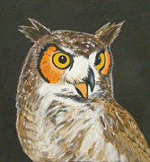 Owl
