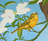 YellowWarbler