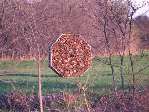 Octagonal Cord  at Connemara Sculpture Park